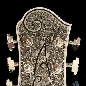 Meet your Posher, Robin